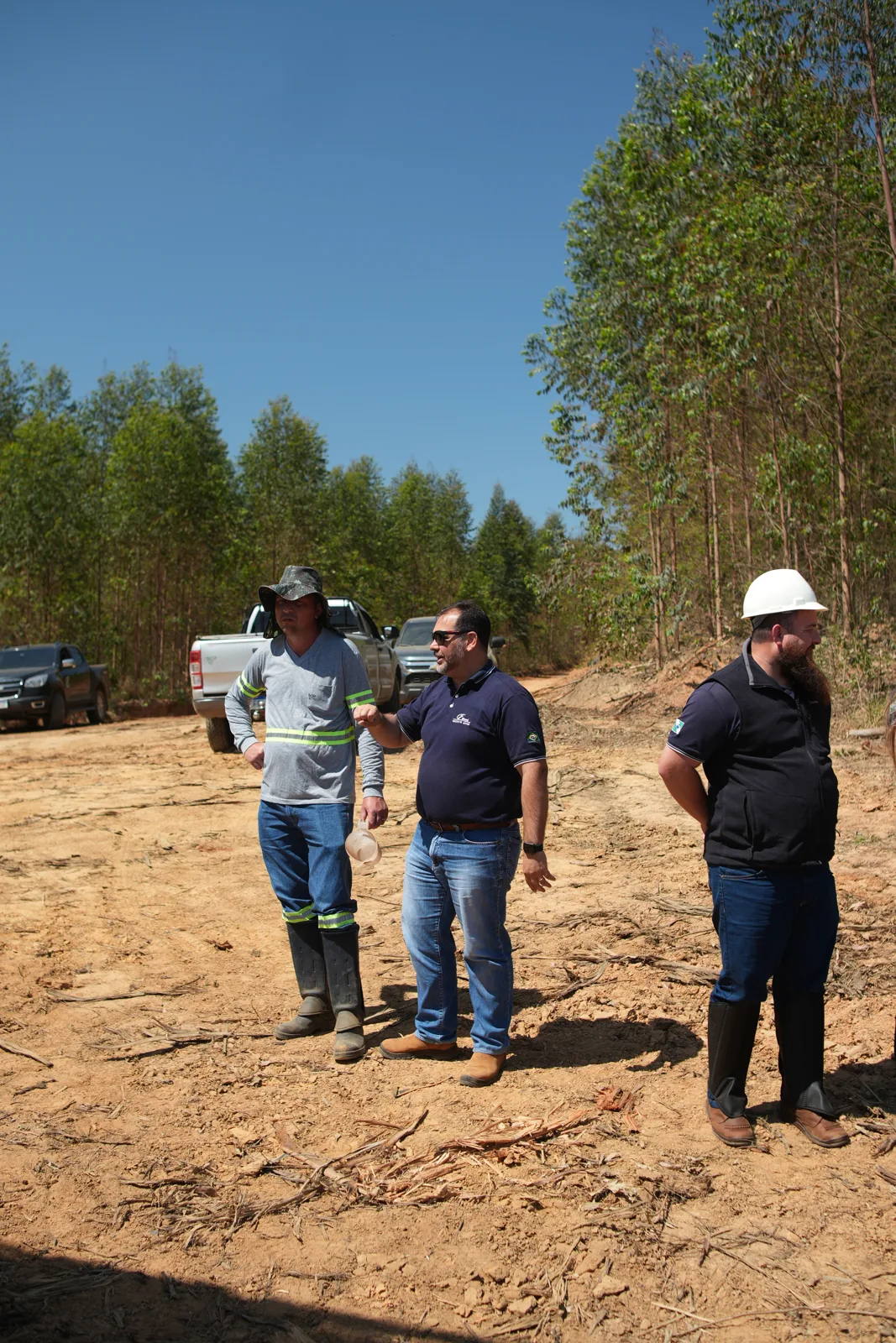 Equipe acompanhando uma área de floresta plantada